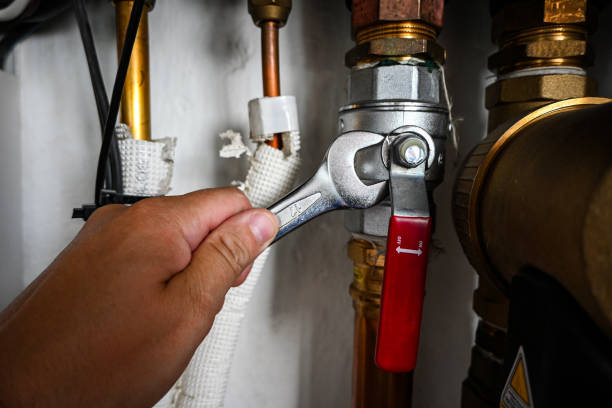 Best Clogged Drain Plumber  in Kronenwetter, WI
